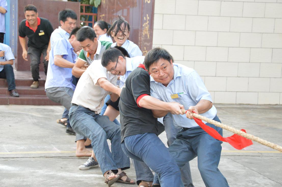 拔河活动4